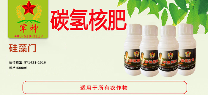 硅藻门