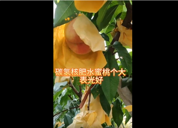 1686635595707.png