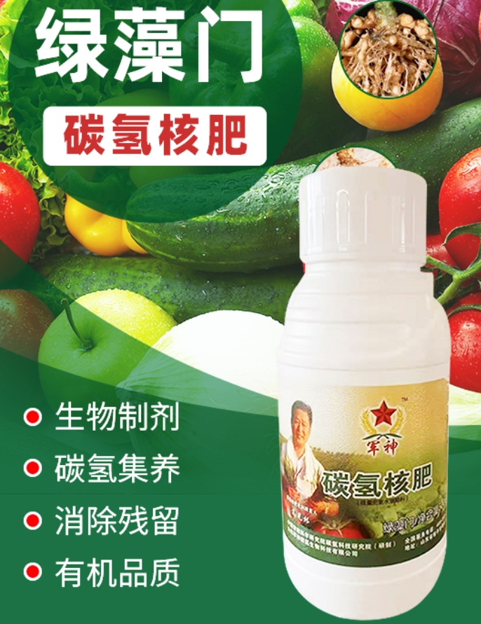 绿藻门升级版