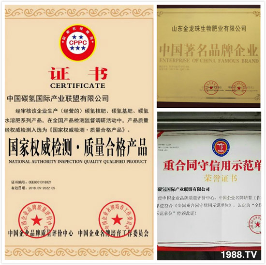 碳氢核肥十大新闻